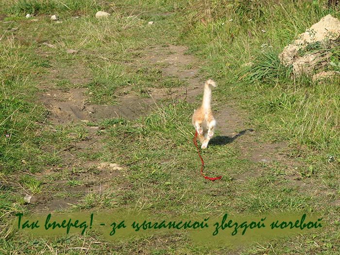 1 месяц 28 дней (11) (700x525, 610Kb)