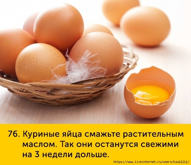 fullsize(75) (650x562, 205Kb)