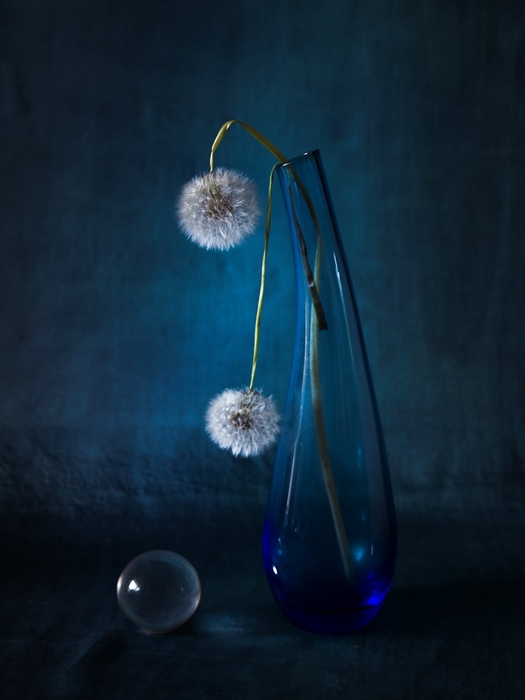 3201221 (525x700, 89Kb)