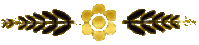 n2 (169x35, 13Kb)