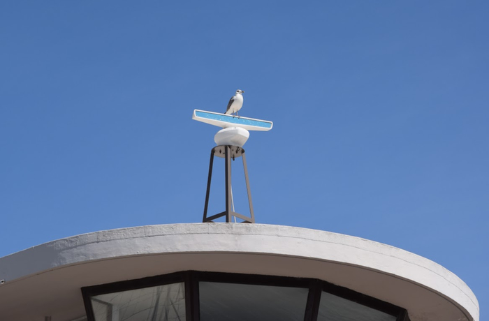 td10 (700x460, 99Kb)