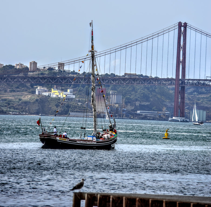 td14 (700x687, 527Kb)