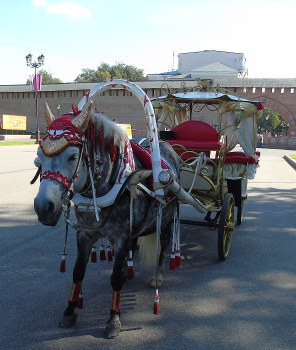 DSC03470 (592x700, 385Kb)