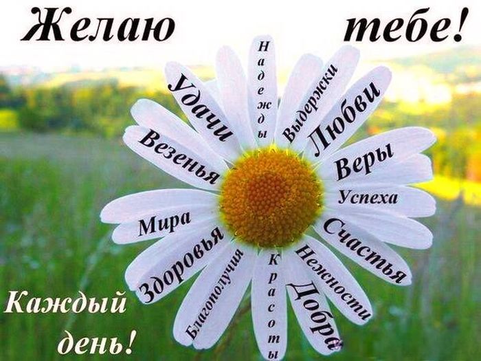 Открытки с пожеланием удачи и успеха в работе, елок новый