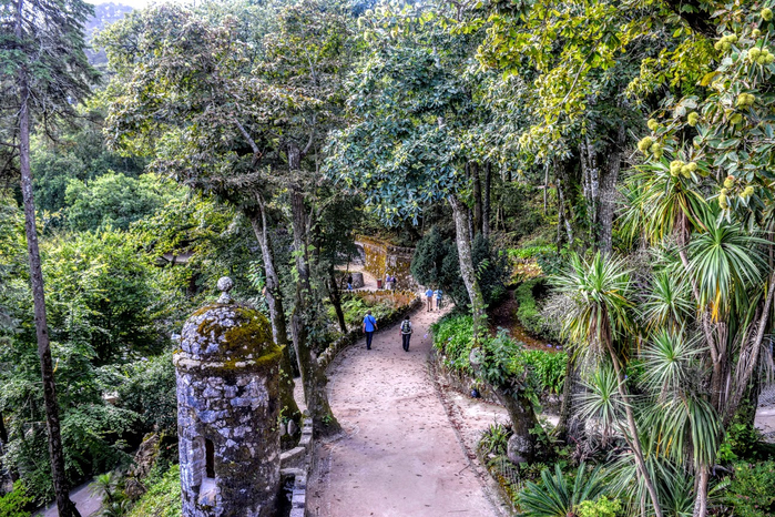 n17 (700x466, 583Kb)