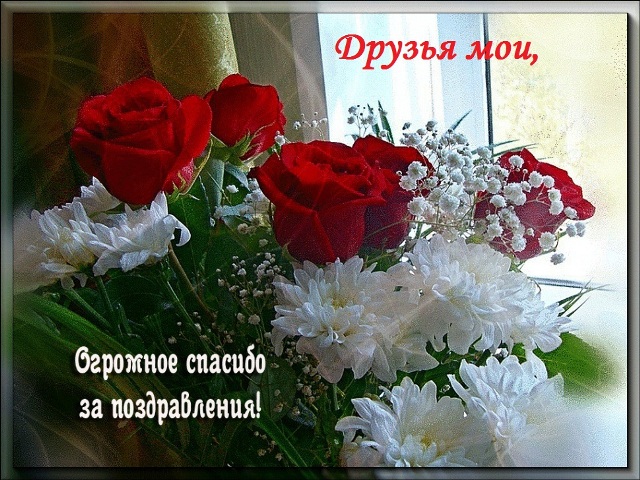  (640x480, 160Kb)