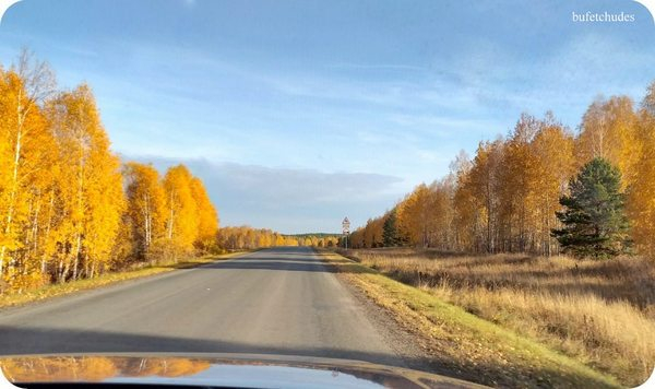 16-изображение_viber_2019-10-06_16-29-23 (600x356, 165Kb)