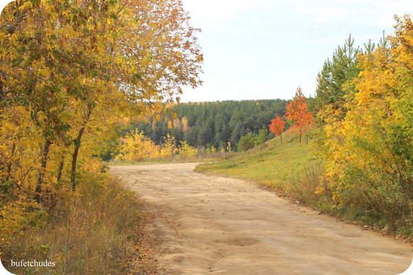 38-IMG_3993 (600x400, 359Kb)