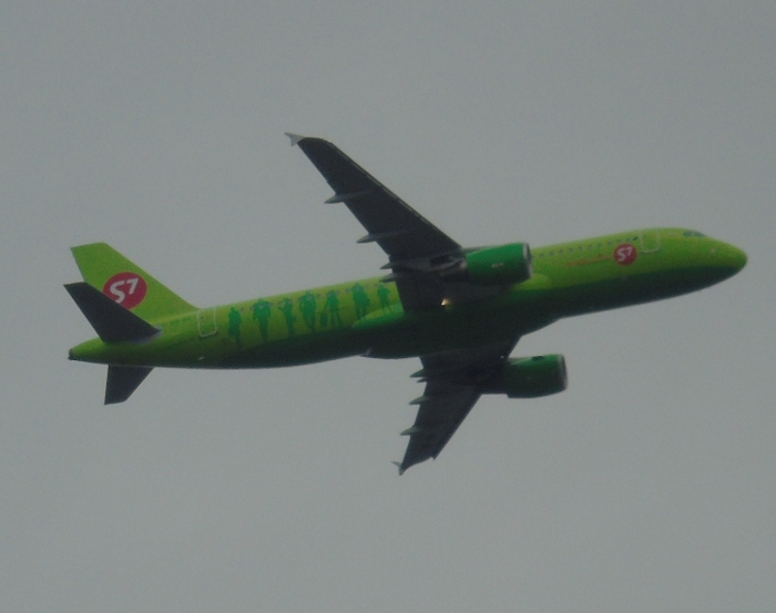 DSC04021 (700x553, 228Kb)