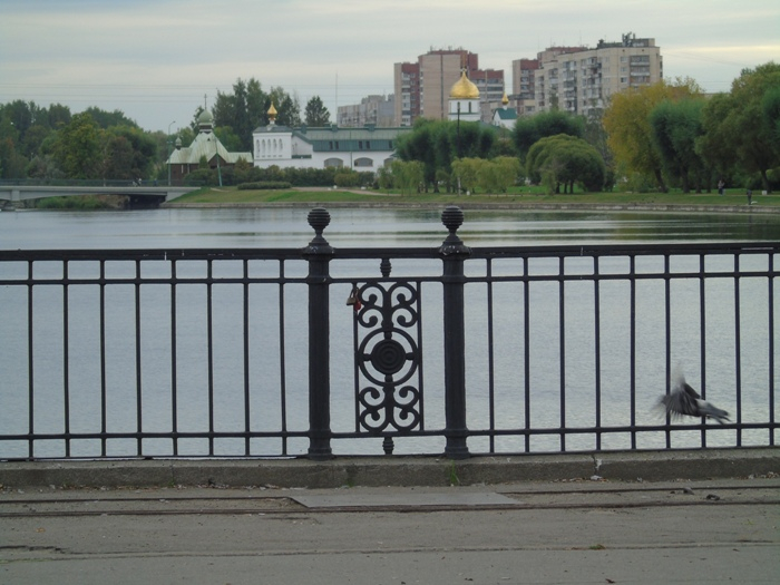 DSC04042 (700x525, 308Kb)