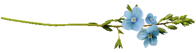 3df0eae7f3dab3e681e44f98459988d7b2da75251938109 (403x110, 8Kb)