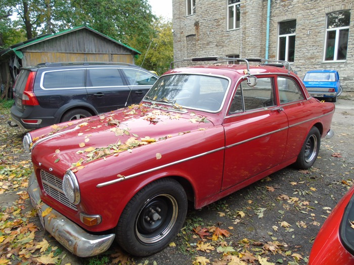 DSC00425 (700x525, 477Kb)