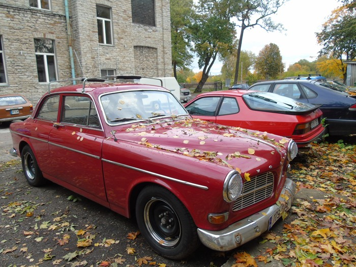 DSC00437 (700x525, 466Kb)