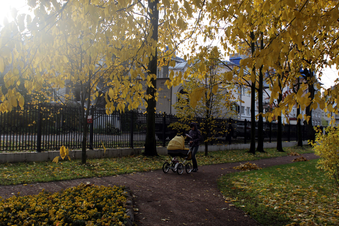 IMG_3608 (700x466, 587Kb)