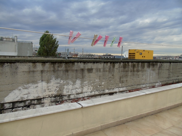 DSC01170 (700x525, 299Kb)