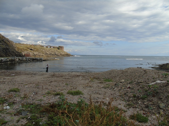 DSC01199 (700x525, 355Kb)