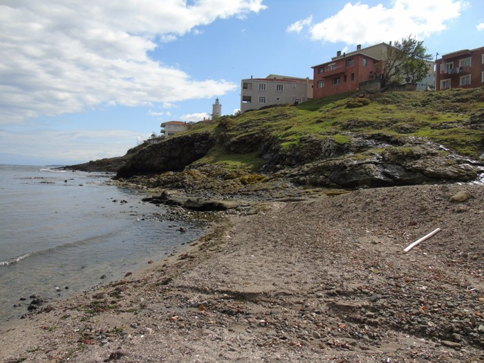 DSC01207 (700x525, 389Kb)