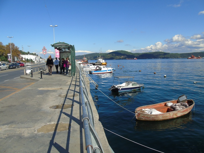 DSC01447 (700x525, 335Kb)