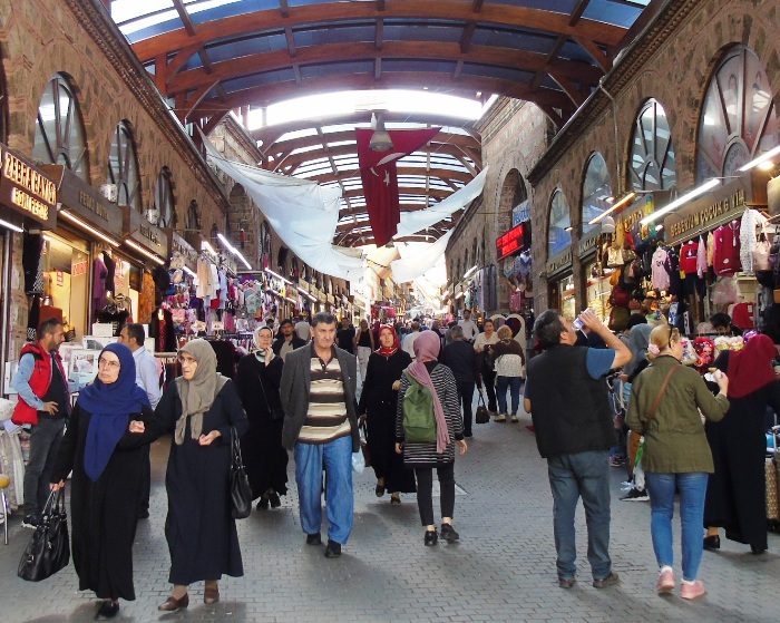 DSC01596 (700x559, 485Kb)