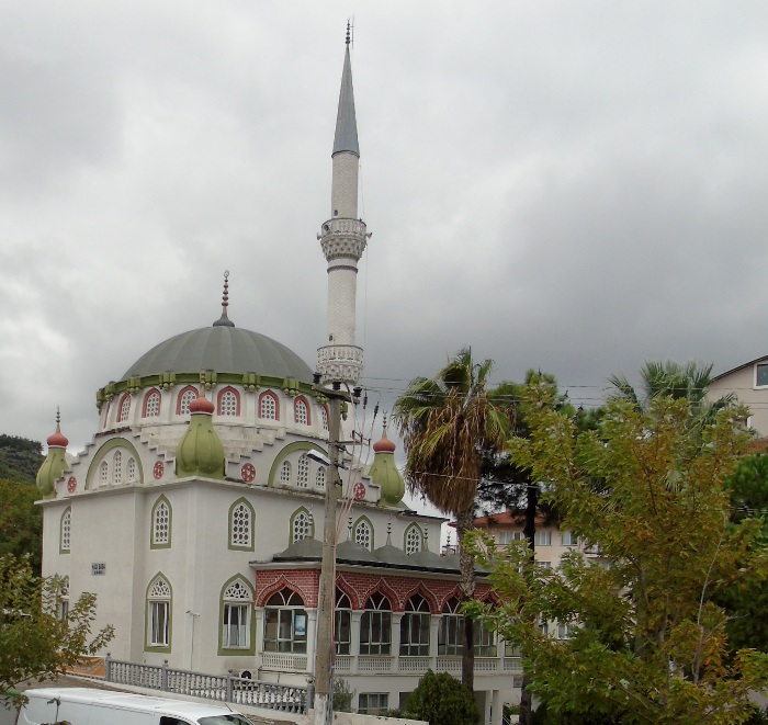 DSC01883 (700x661, 378Kb)