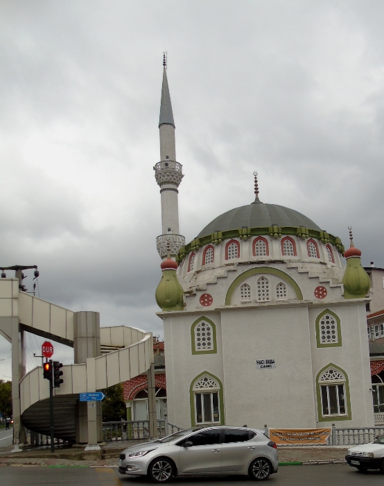 DSC01889 (554x700, 274Kb)