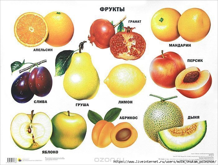 0w_5DCJFehY (700x530, 220Kb)