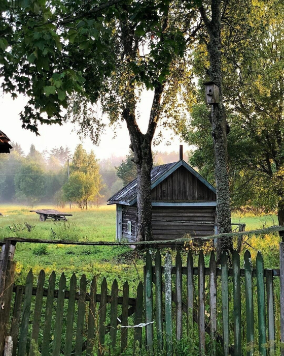 13387106 (560x700, 544Kb)