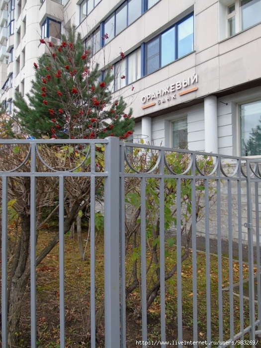 DSC04161 (525x700, 307Kb)