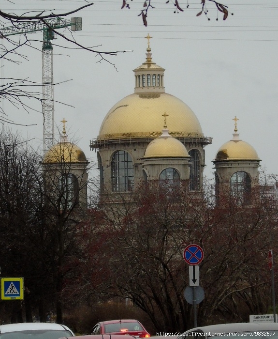 DSC04167 (575x700, 293Kb)