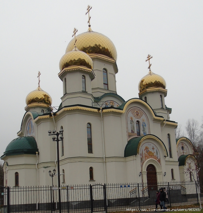 DSC04209 (667x700, 319Kb)