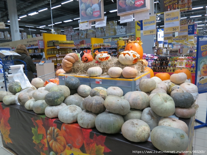 IMG_2703 (700x525, 342Kb)