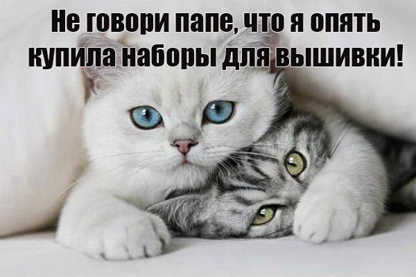 4267534_n5bKBfqF2tU (600x400, 44Kb)