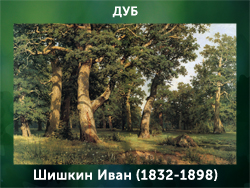 5107871_Shishkin_Ivan_18321898_Dyb (250x188, 105Kb)