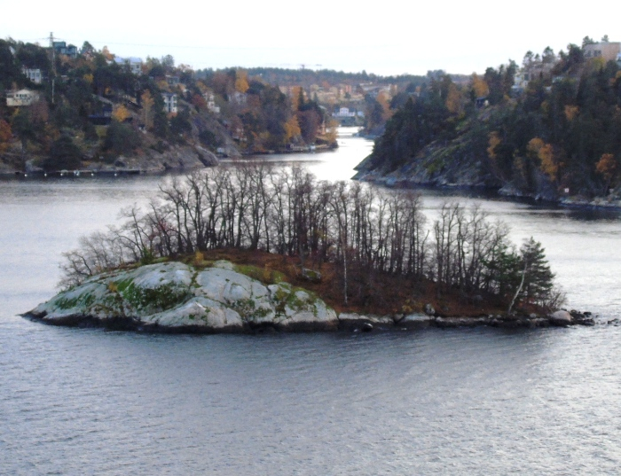 DSC03780 (700x537, 379Kb)