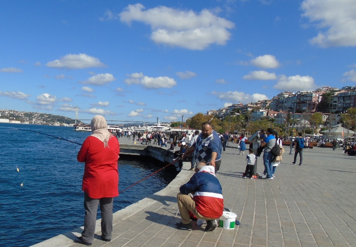 DSC01954 (700x485, 348Kb)