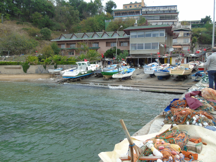 DSC02286 (700x525, 551Kb)