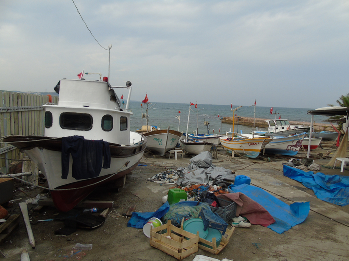 DSC02294 (700x525, 417Kb)