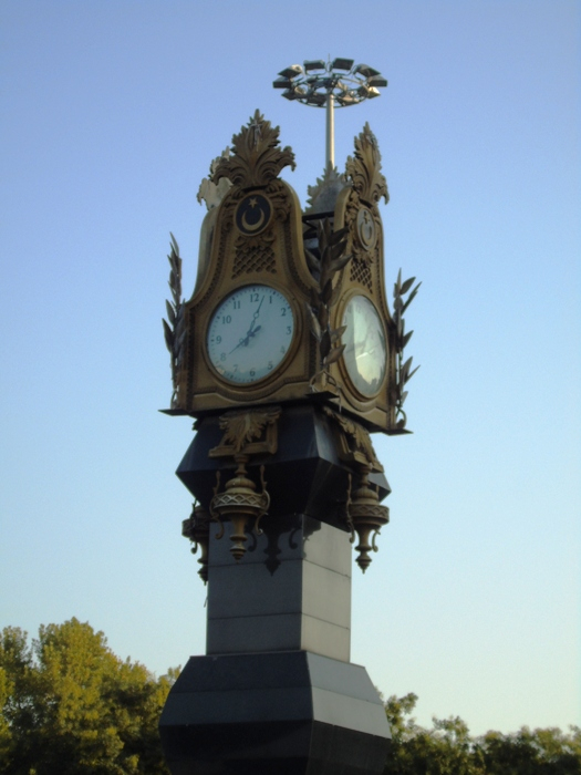 DSC02332 (525x700, 274Kb)