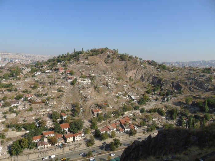 DSC02415 (700x525, 484Kb)