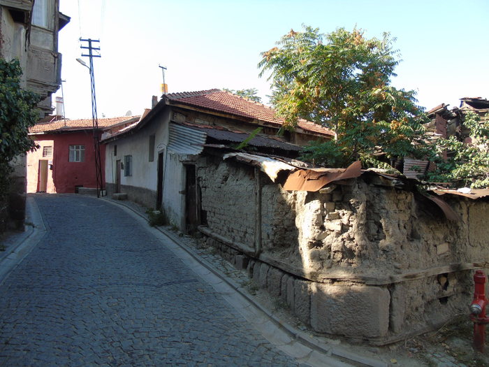 DSC02434 (700x525, 490Kb)