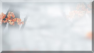 --1 (300x169, 10Kb)