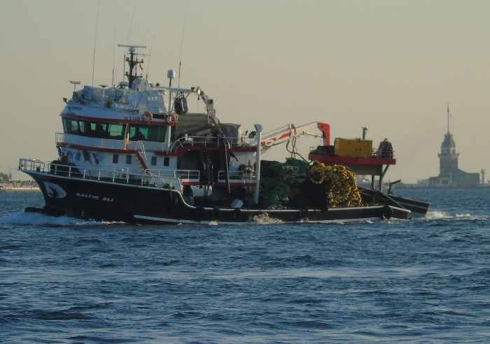 DSC03052 (700x492, 295Kb)