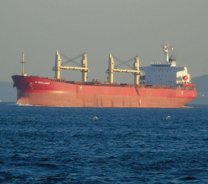 DSC03078 (700x619, 392Kb)