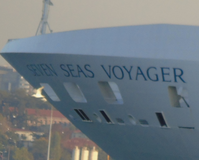 DSC03083 (700x562, 259Kb)