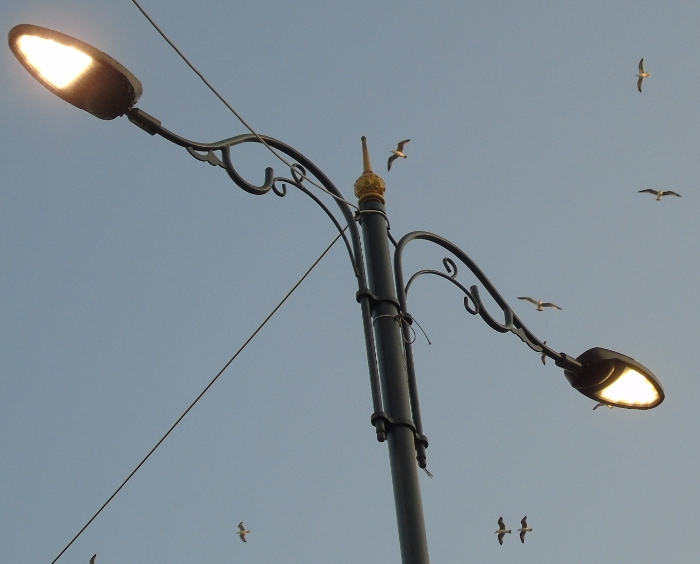 DSC03097 (700x564, 269Kb)