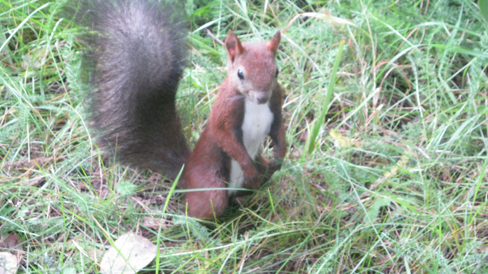 IMG_8680 (700x392, 418Kb)