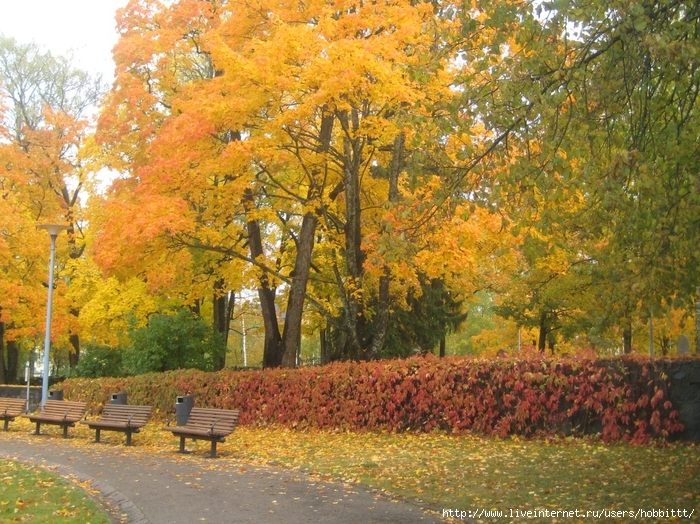 175 (700x524, 424Kb)