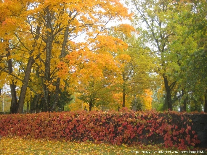 176 (700x524, 386Kb)