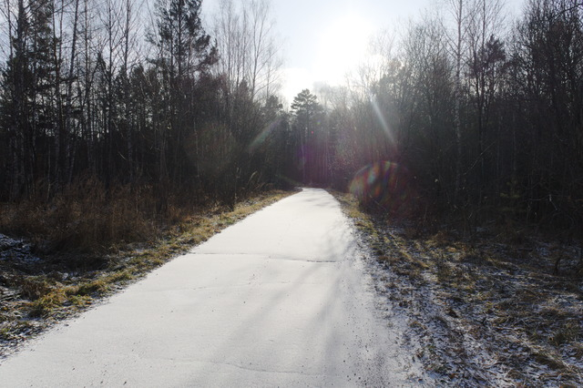 DSC01898 (640x426, 255Kb)