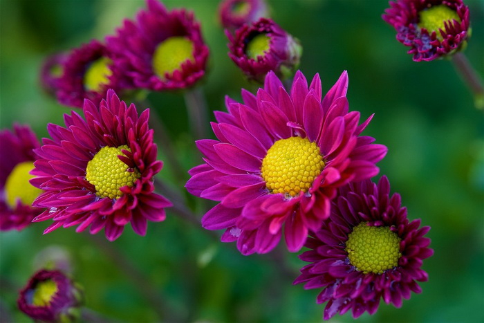 680 (700x467, 307Kb)